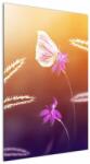 Mivali Tablou - Fluture roz, dintr-o bucată 60x90 cm (V022365V6090)