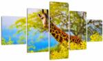 Mivali Tablou - Girafa în Africa, din cinci bucăți 125x70 cm (V023370V12570)