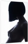 Mivali Tablou - Silueta feminină, nud, dintr-o bucată 30x40 cm (V023899V3040)