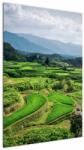 Mivali Tablou cu câmp de orez, dintr-o bucată 60x90 cm (V020271V6090)