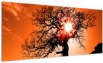 Mivali Tablou - Fag la apus de soare, dintr-o bucată 100x40 cm (V022512V10040)