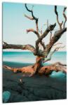 Mivali Tablou - Debarcare pe plaja, dintr-o bucată 30x40 cm (V021723V3040)