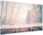 Mivali Tablou - Priveliște pădure, din trei bucăți 120x80 cm (V023809V120803PCS)