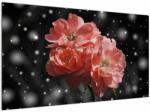 Mivali Tabloucu floare roz, dintr-o bucată 120x70 cm (V020471V12070)