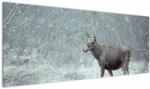 Mivali Tablou - Elan într-o pădure înzăpezită, dintr-o bucată 145x58 cm (V023401V14558)