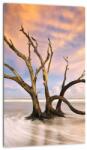 Mivali Tablou - Copacul în ocean, dintr-o bucată 20x30 cm (V023279V2030)