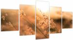 Mivali Tablou - Iarbă la soare, din cinci bucăți 150x80 cm (V023919V150805PCS)