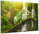 Mivali Tablou pe sticlă - cameleon, dintr-o bucată 70x50 cm pe sticlă (V020277V7050GD)