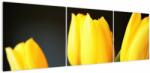 Mivali Tablou cu lalele, din trei bucăți 150x50 cm (V020187V15050)