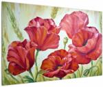 Mivali Tablou - Mac - flori, dintr-o bucată 120x80 cm (V023305V12080)