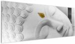 Mivali Tablou - Buddha alb, dintr-o bucată 145x58 cm (V023201V14558)