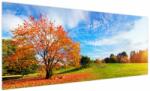 Mivali Tablou - Peisaj de toamnă, dintr-o bucată 250x125 cm (V022539V250125)