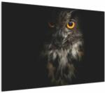 Mivali Tablou cu bufnița, dintr-o bucată 100x70 cm (V020966V10070)