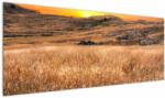 Mivali Tablou cu câmp, dintr-o bucată 145x58 cm (V020837V14558)