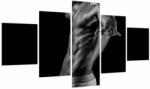 Mivali Tablou - Artă masculină, din cinci bucăți 125x70 cm (V023837V12570)