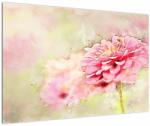 Mivali Tablou - Floare roz, aquarel, dintr-o bucată 90x60 cm (V023031V9060)