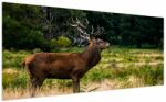Mivali Tablou cu cerb, dintr-o bucată 200x100 cm (V021197V200100)