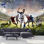 Mivali Fototapet - Fotbal, vlies, 490x340 cm (T100431TQ10)
