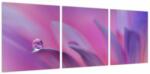 Mivali Tablou - Picătură pe floare, din trei bucăți 90x30 cm (V024022V9030)