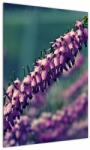 Mivali Tablou cu floare violetă, dintr-o bucată 50x70 cm (V020421V5070)