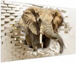 Mivali Tablou - Elefant spârgând peretele, dintr-o bucată 150x100 cm (V022794V150100)