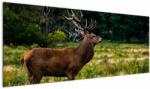 Mivali Tablou cu cerb, dintr-o bucată 145x58 cm (V021197V14558)