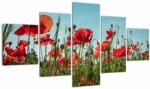 Mivali Tablou - Pe câmpul cu maci, din cinci bucăți 125x70 cm (V021727V12570)
