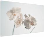 Mivali Tablou cu orhidee albă, dintr-o bucată 150x100 cm (V021557V150100)