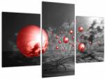 Mivali Tabloul bilelor roșii, din trei bucăți 90x60 cm (V020107V90603PCS)