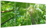 Mivali Tablou - Lunca, din patru bucăți 160x80 cm (V022468V16080)