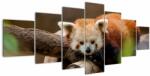 Mivali Tablou cu panda roșie, din șapte bucăți 210x100 cm (V020184V210100)