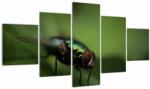Mivali Tablou - Musca, din cinci bucăți 125x70 cm (V021338V12570)