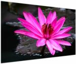 Mivali Tablou - floarea roz, dintr-o bucată 150x100 cm (V020636V150100)