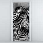 Mivali Fototapeta pentru ușă - zebre (D014793D95205)