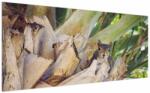 Mivali Tablou cu veverița în copaci, dintr-o bucată 200x100 cm (V021177V200100)