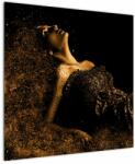 Mivali Tablou - Femeia din aur, dintr-o bucată 70x70 cm (V023500V7070)