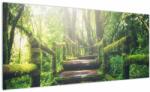 Mivali Tablou - trepte din lemn în pădure, dintr-o bucată 100x40 cm (V020593V10040)