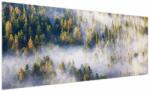 Mivali Tablou - Copac în ceață, dintr-o bucată 250x125 cm (V023148V250125)