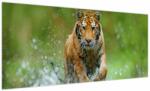 Mivali Tablou - Tigru care aleargă, dintr-o bucată 100x40 cm (V023886V10040)