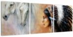 Mivali Tablou - Farmecele indienilor, din trei bucăți 90x30 cm (V023319V9030)