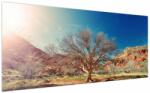 Mivali Tablou cu cu copac în deșert, dintr-o bucată 200x100 cm (V021260V200100)
