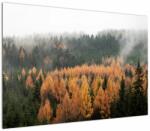 Mivali Tablou - Pădure toamna, dintr-o bucată 100x70 cm (V022938V10070)