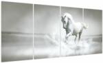 Mivali Tablou - Cal alb, din patru bucăți 160x80 cm (V023744V16080)