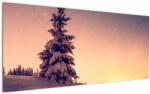 Mivali Tablou cu copac înzăpezit pe luncă, dintr-o bucată 120x50 cm (V020701V12050)