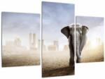 Mivali Tablou - Elefanți în oraș, din trei bucăți 90x60 cm (V023428V90603PCS)