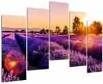 Mivali Tablou cu câmp de lavanda, din cinci bucăți 125x90 cm (V020540V12590)