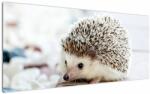 Mivali Tablou cu arici, dintr-o bucată 120x50 cm (V020368V12050)