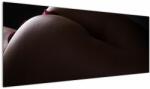 Mivali Tablou - Fundal feminin, dintr-o bucată 145x58 cm (V022859V14558)