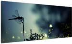 Mivali Tablou - Libelula în noaptea strălucitoare, dintr-o bucată 100x40 cm (V023116V10040)