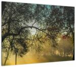 Mivali Tablou pe sticlă cu răsărit de soare, dintr-o bucată 70x50 cm pe sticlă (V020270V7050GD)